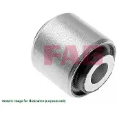 Fag Lager, styrarm 829 0655 10