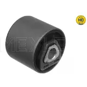 Meyle Lager, styrarm 300 311 2103/HD