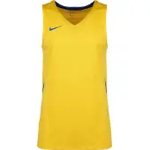 Nike Funktionstopp 'Team Stock 20' royalblå / gul