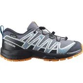 Salomon Xa Pro V8 Wp Vandringsskor