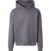 Hollister Sweatshirt grå