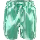 Calvin Klein Badshorts gran / vit