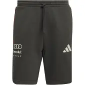 Adidas Audi Revolut F1 Team Dna Shorts, storlek X-Small