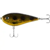 iFish The Guide Spdr