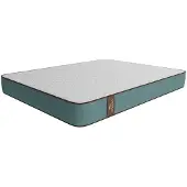 Cecotec Flow Purevital 2900 Madrass