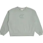 Calvin Klein Boxy Sweatshirt
