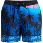 Quiksilver Everyday Printed Volley 15´´ Simshorts
