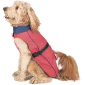 Dog Gone Smart Acacia Hundregnjacka