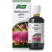 A.Vogel A. Vogel Vogel Boldocynara 100 ml