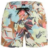 Quiksilver Everyday Printed Volley 15´´ Simshorts