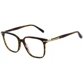 Scotch & Soda Glasögonbåge SS4020 171 52
