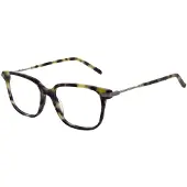 Scotch & Soda Glasögonbåge SS4019 037 52
