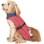 Dog Gone Smart Acacia Hundregnjacka