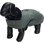 Designed By Lotte Zhanti Hundjacka