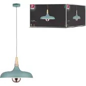 Paulmann Neordic Juna 79655 Pendellampa LED E27 20 W Mjukt grön, Koppar, Trä