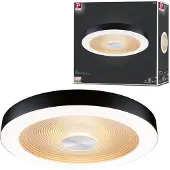 Paulmann 71180 Volea LED-takbelysning LED LED 4 W, 18.5 W Svart, Guld