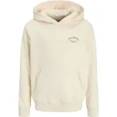 Jack & jones Brandes Relaxed Huvtröja