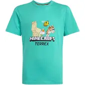 Adidas Minecraft Terrex T-shirt Med Korta ärmar