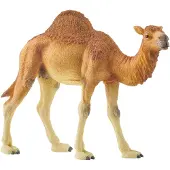 Schleich Dromedar - 14832