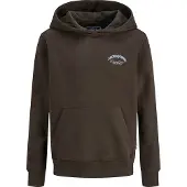 Jack & Jones Hoodie - JjeBrandes - Delicioso - - 8 år (128) - Hoodie