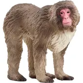 Schleich Wild Life New 2024 Wild Animal Toy Japanese Macaque Figurine