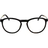 Rodenstock Optical Frame R8031 A000 55 Titanium