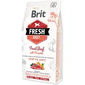 Brit Fresh nötkött med pumpa Puppy Large 2,5 kg