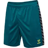 Hummel Sportbyxa 'Authentic' cyanblå / grå / ljusgrön / svart