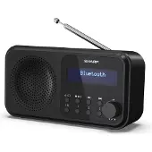 Sharp - Tokyo Portable Digital and FM Radio - Black Midnight