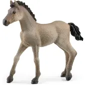 Schleich Horse Club - Criollo Föl - H: 7, 6 cm 13949 - - One Size - Leksaksdjur