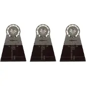 Fein 63502134220 E-Cut Standard Instickssågblad 65 mm 3 st
