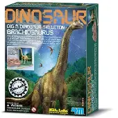 4M Gräv Ut Ett Brachiosaurus-skelett-geologiskt Set