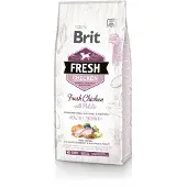 Brit Fresh kyckling med potatis Puppy hälsosam tillväxt 12 kg