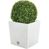 Wellhome Prosperplast Rato 32l S Set Blomkruka 2 Enheter