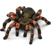 Schleich Djur - Fågelspindel - L: 7 cm 14829 - - One Size - Leksaksdjur