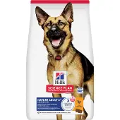Hill's Pet Nutrition Science Plan Canine Mature Adult 6+ Large Breed Kyckling 36 kg (2x18 kg)