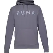Puma Sport sweatshirt grå / ljusgrå