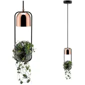Paulmann Fanja 79749 Pendellampa Speciallampa GU10 20 W Koppar, Svart