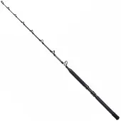 Shimano Fishing Tld B Stand Up Trollingstång