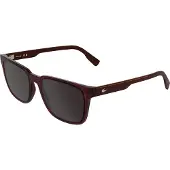 Lacoste L6077s Solglasögon