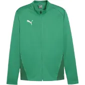 Puma Träningsjacka teamGOAL - Grön/White, storlek Medium