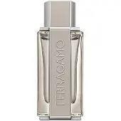Salvatore Ferragamo Ferragamo Bright Leather Herr Edt Vapo 100 ml