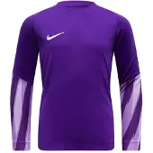 Nike Målvaktströja Dri-FIT Park V - Lila/Vit, storlek Small
