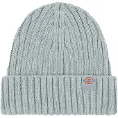 Dickies Lockwood Mössa