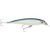 Rapala X-rap Saltwater Minnow 22g 120 Mm