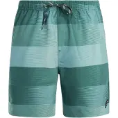 Protest Lomond Simshorts