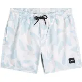 O'Neill Print Simshorts