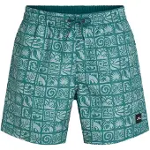O'Neill Print 16'' Boardshorts blue bricks Storlek XS