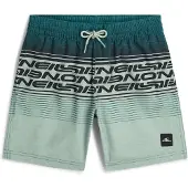 O'Neill Logo Stripe Simshorts