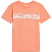 O'Neill Graphic T-shirt Med Korta ärmar